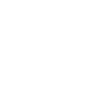 security_icon