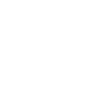 security_icon